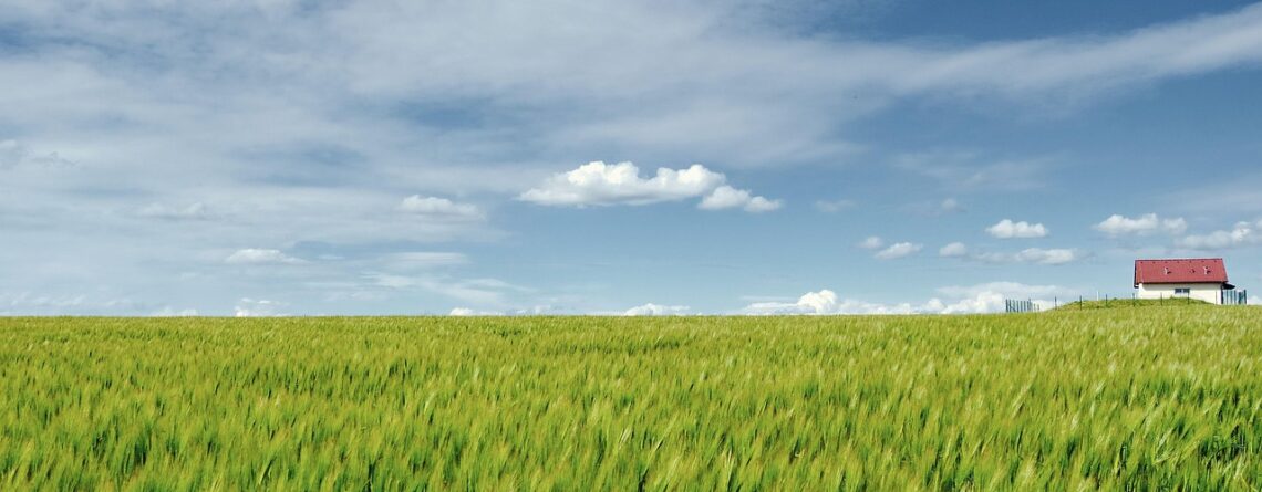 nature, landscape, field, grain field, expanse, contrast, color contrast, spring, spring landscape, nature, landscape, field, field, field, grain field, contrast, spring, spring, spring, spring, spring, spring landscape
