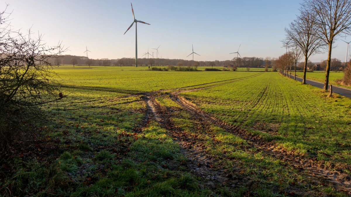 Prachtig plattelandslandschap met windturbines op een zonnige ochtend.