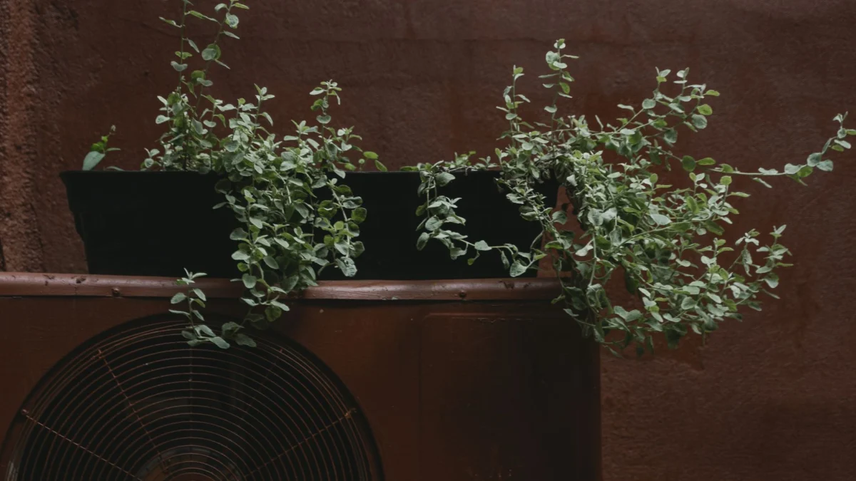 Groene potplanten stromen elegant over een buitenluchtconditioner.