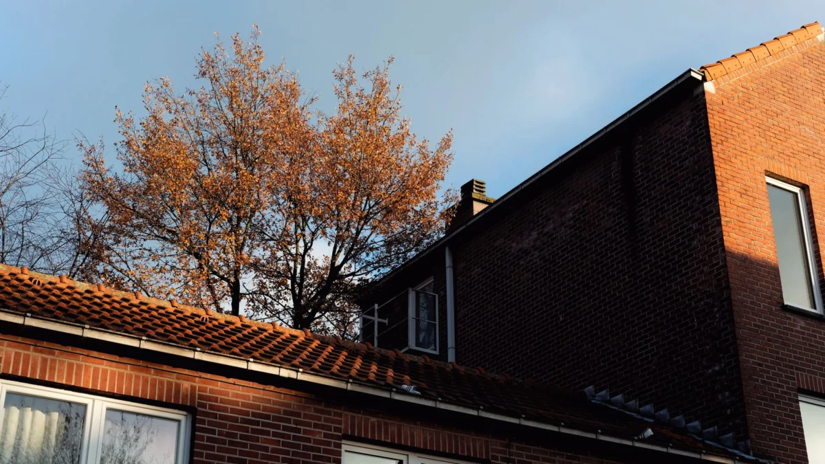 Een laaghoekzicht op een bakstenen huis met een herfstboom in Leuven, België.